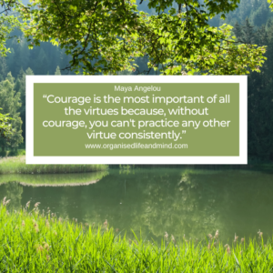 Saturday quote 2024-26“Courage is the most important of all the virtues because, without courage, you can't practice any other virtue consistently.” Maya Angelou